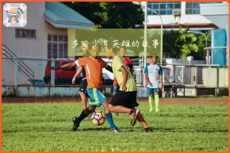 多哈少年英雄的故事