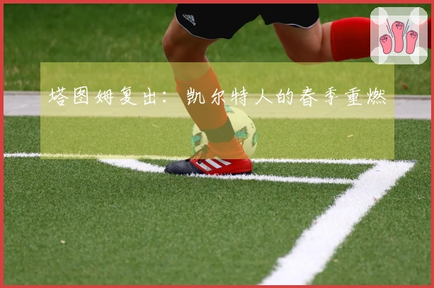 塔图姆复出：凯尔特人的春季重燃