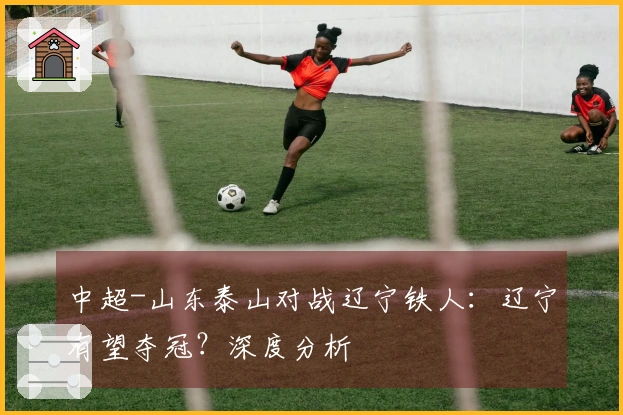 中超-山东泰山对战辽宁铁人：辽宁有望夺冠？深度分析